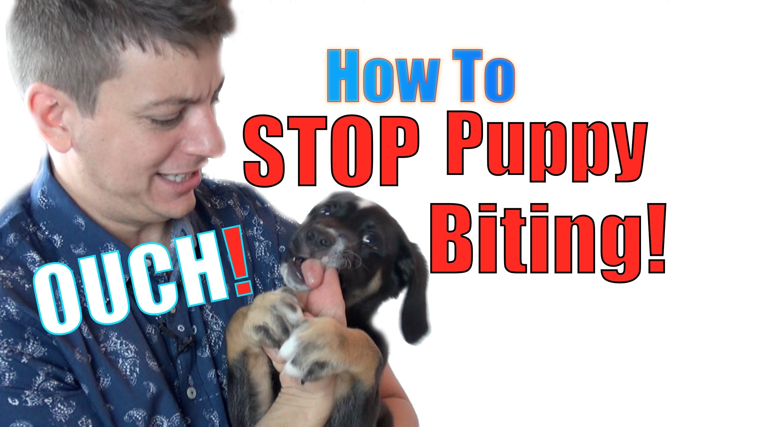 Training Your Puppy NOT To BITE